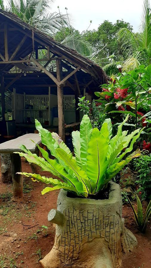 Travis Post Homestay Siquijor Exterior photo