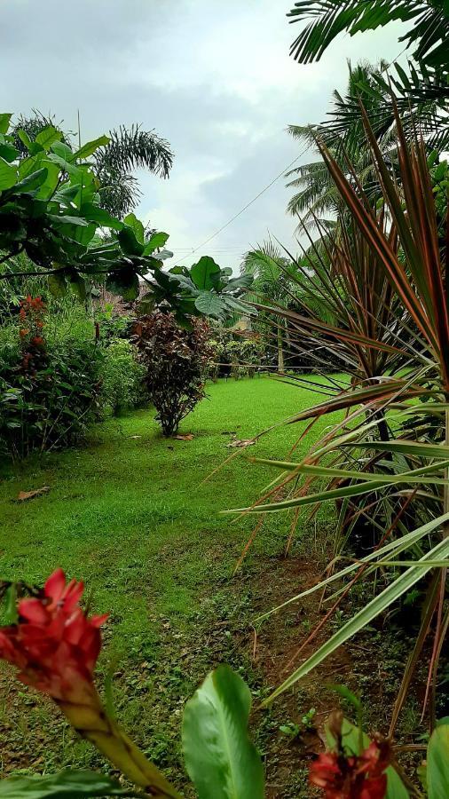Travis Post Homestay Siquijor Exterior photo
