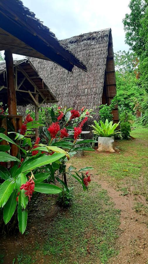 Travis Post Homestay Siquijor Exterior photo