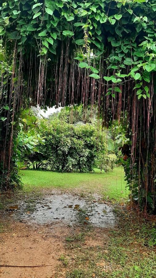 Travis Post Homestay Siquijor Exterior photo