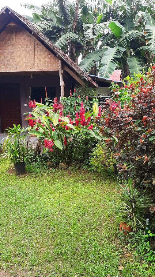 Travis Post Homestay Siquijor Exterior photo